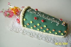 Schulanfang-Junge